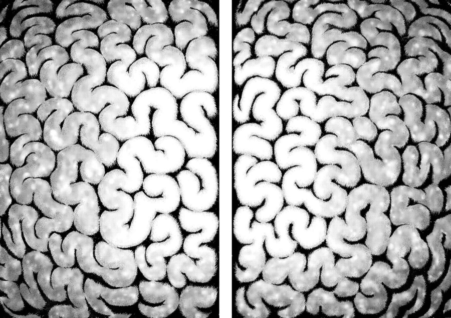 Dilarang COPAS - situs resmi www.mangacanblog.com - Komik berserk 306 - chapter 306 307 Indonesia berserk 306 - chapter 306 Terbaru 11|Baca Manga Komik Indonesia|Mangacan